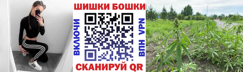 Где купить Камышин МЕГА   A PVP  ГАШ  Кокаин 