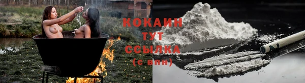 индика Алзамай