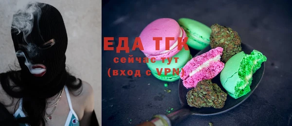 индика Алзамай
