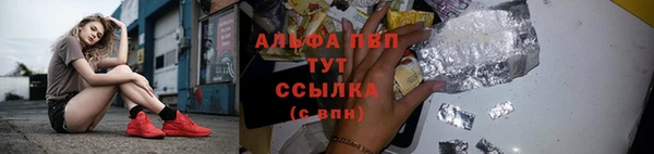 герыч Алексин