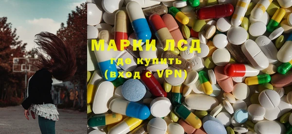 индика Алзамай