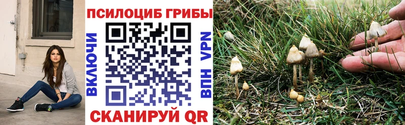 Галлюциногенные грибы GOLDEN TEACHER  продажа наркотиков  Камышин 